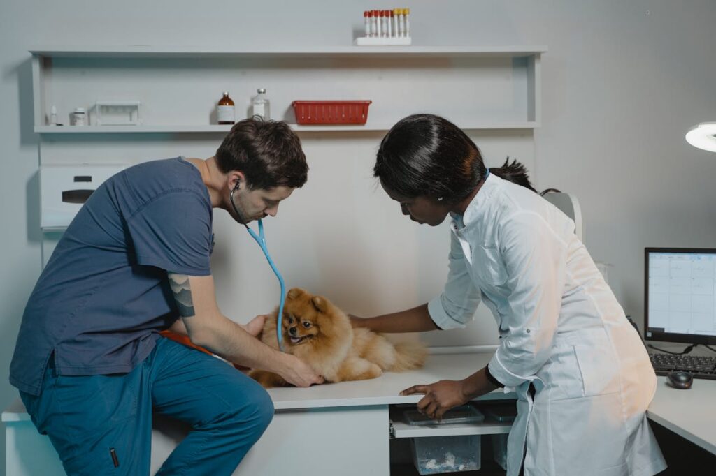 When Is Tranquilization or Sedation Necessary for Pets?