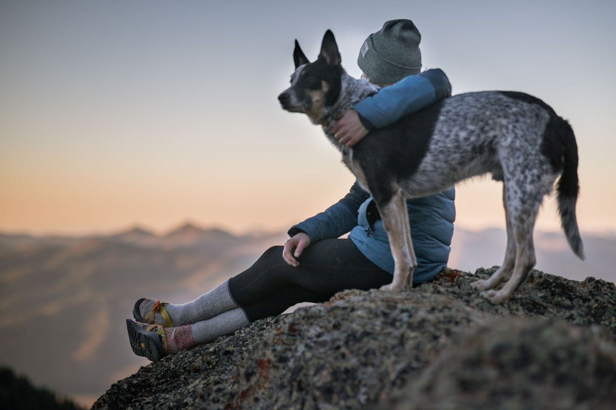 Can Dogs and Cats Really Get the Flu? Understanding Pet Viruses