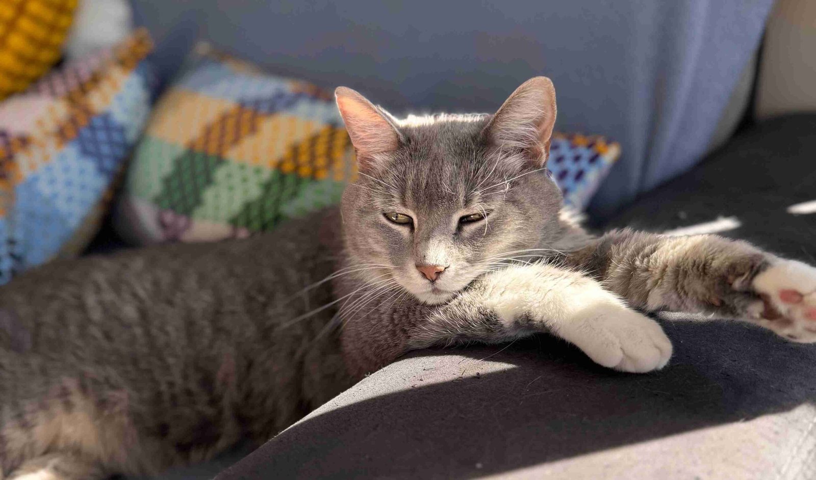 parasite prevention South Vancouver